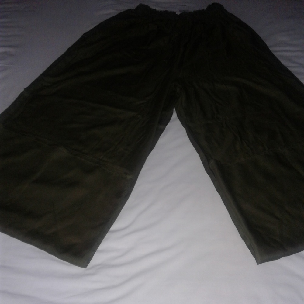 American Eagle Outfitters Long Coulotte Pants - Picture 3 of 7